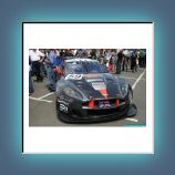 dbr 9 5904.JPG